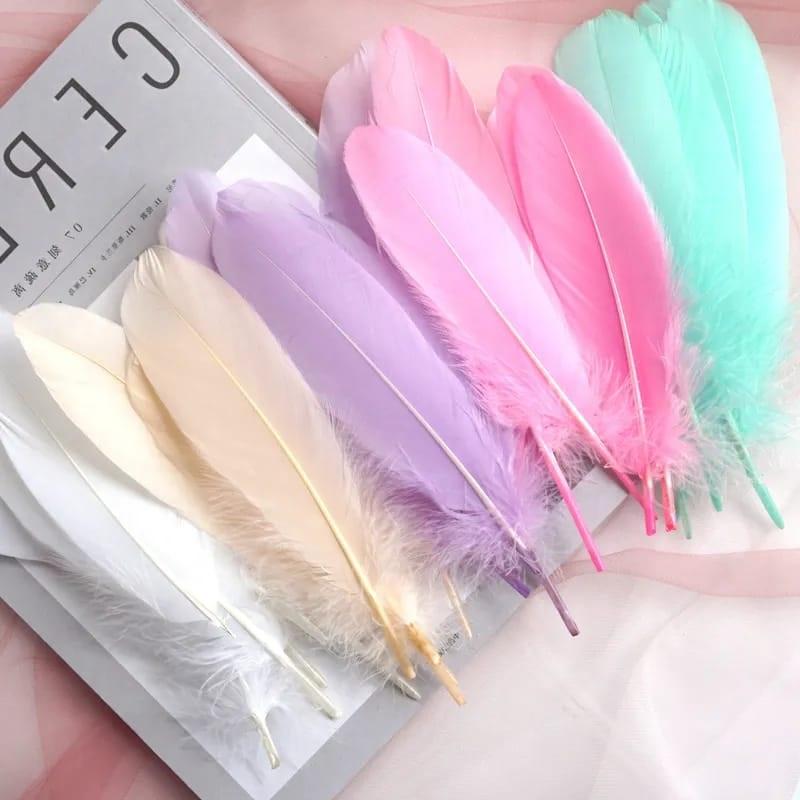 Plumas 10 – 15 c.m.