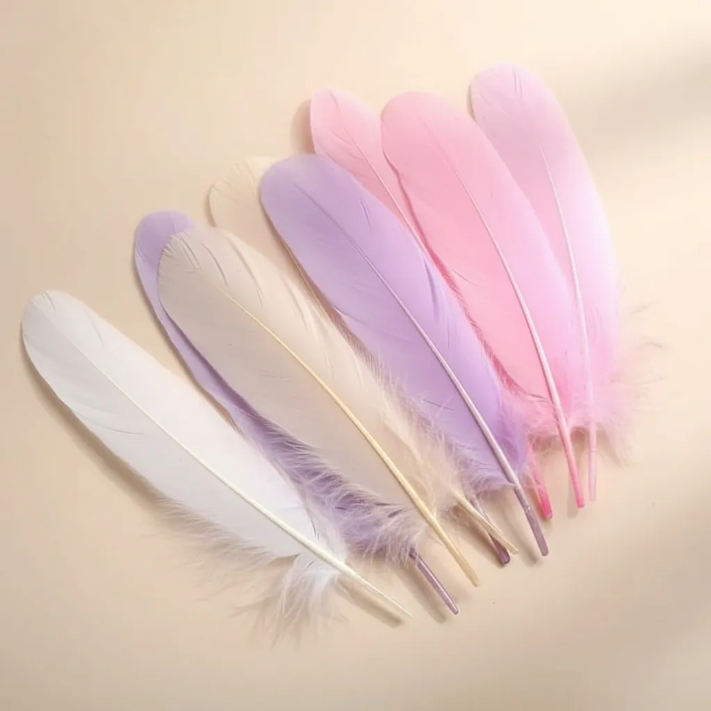 Plumas 10 – 15 c.m.